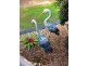 Burpengary QLD 4505