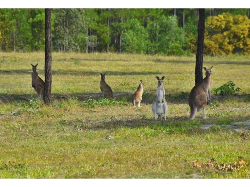Lot 2 Tilpawai Road, Woodford QLD 4514