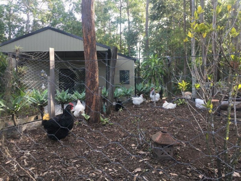 44-46 Blackbutt Court, Burpengary QLD 4505