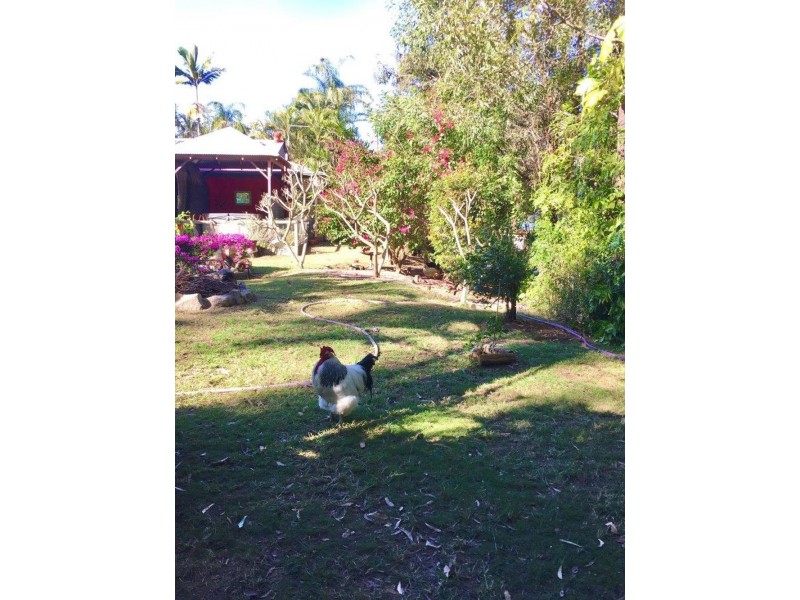 44-46 Blackbutt Court, Burpengary QLD 4505