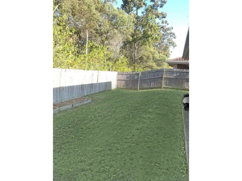 38 Bangalow Street, Morayfield QLD 4506