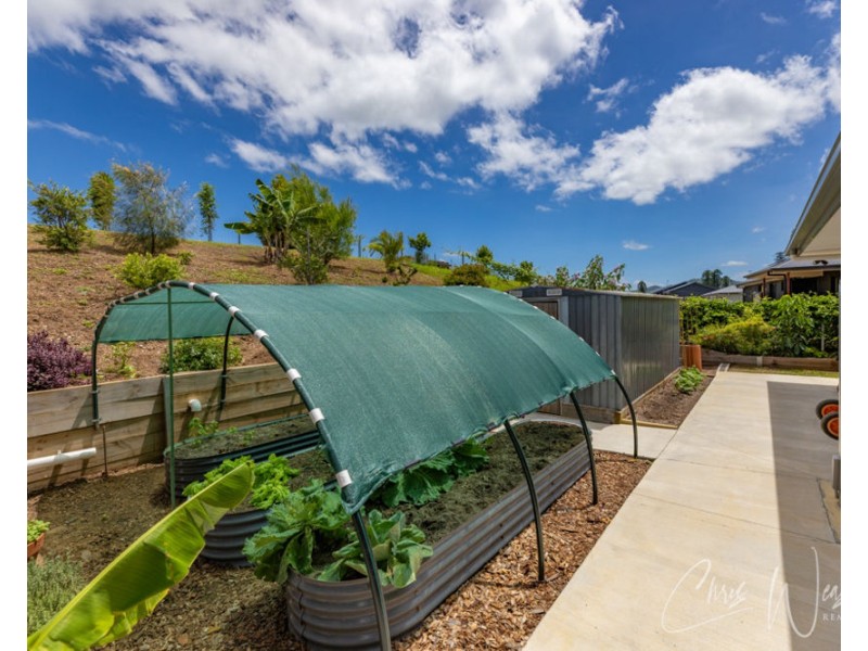 15 PINE TREE DRIVE, Winya QLD 4515
