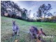 28 Melba Street, Moorina QLD 4506