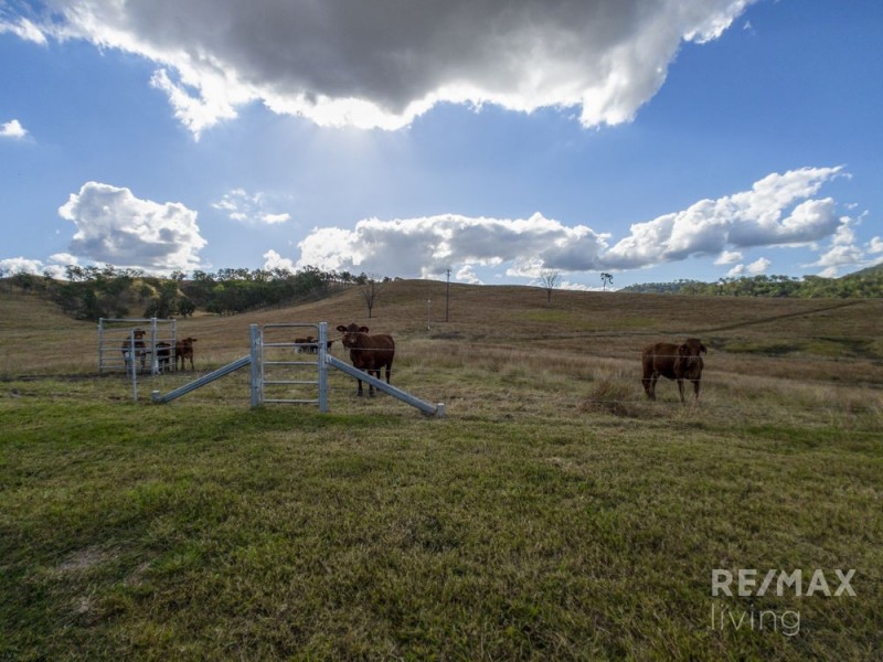 585 Spring Creek Road, Harlin QLD 4306