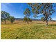 772 Sandy Creek Road, Sandy Creek QLD 4515