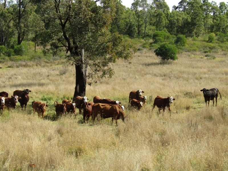 1500 Westvale Road, Westvale QLD 4521