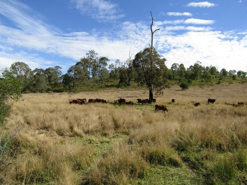 1500 Westvale Road, Westvale QLD 4521