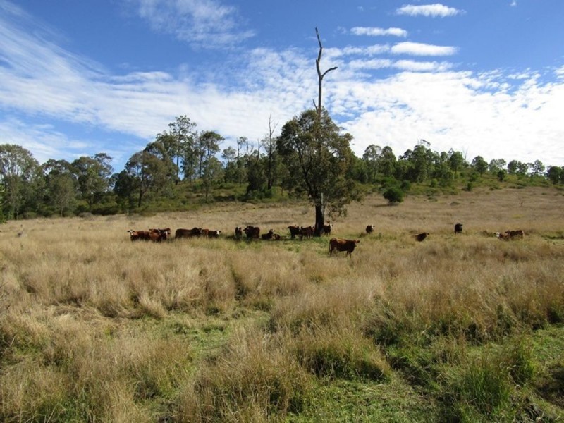 1500 Westvale Road, Westvale QLD 4521