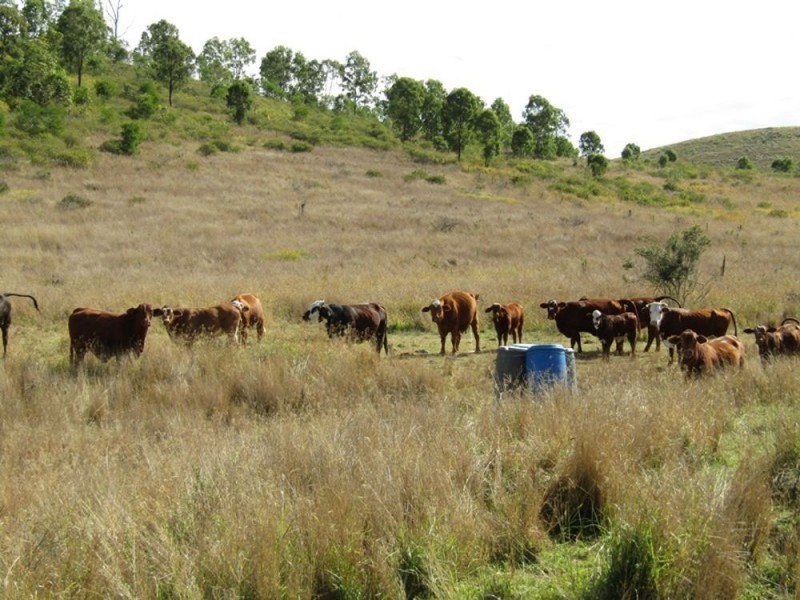 1500 Westvale Road, Westvale QLD 4521