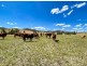 Lot 16 Spring Creek Road, Harlin QLD 4306