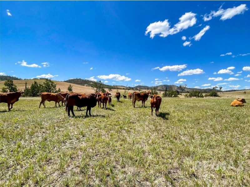 Lot 16 Spring Creek Road, Harlin QLD 4306