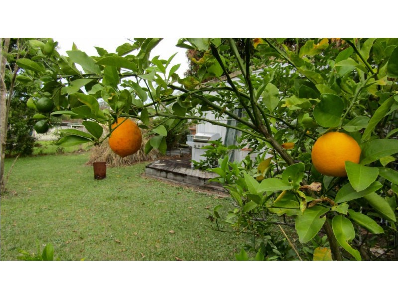 33 George Street, Woodford QLD 4514