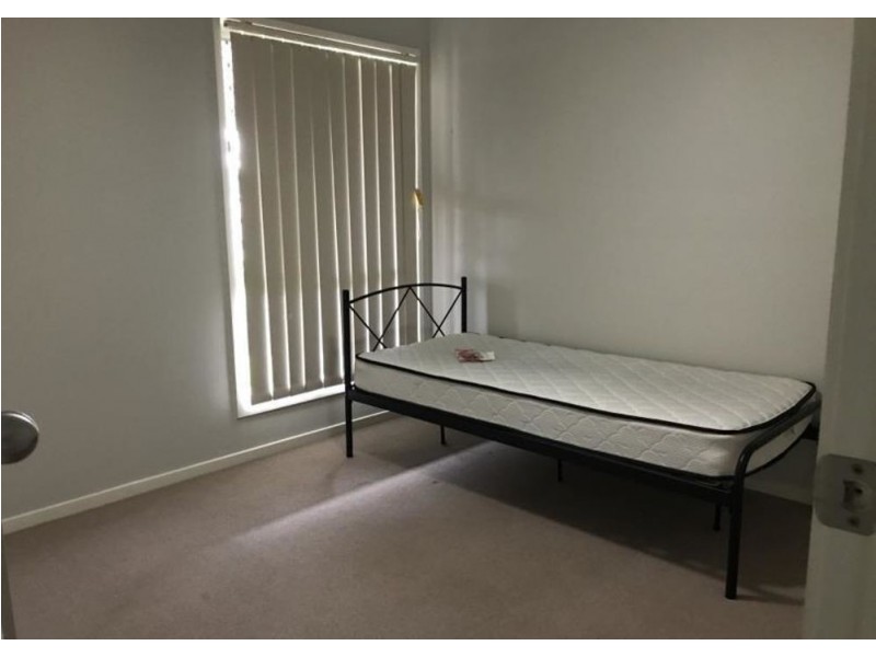 6 Pioneer Court, Woolmar QLD 4515