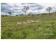 Lot 38 Spring Creek Road, Harlin QLD 4306