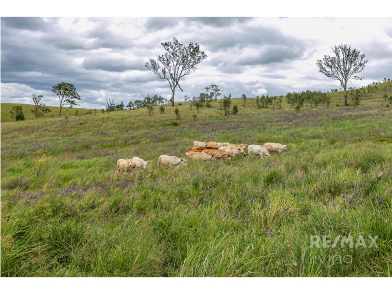 Lot 38 Spring Creek Road, Harlin QLD 4306