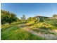 38 Greenhills Court, Sandy Creek QLD 4515