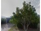 26 Marsh Parade, North Lakes QLD 4509