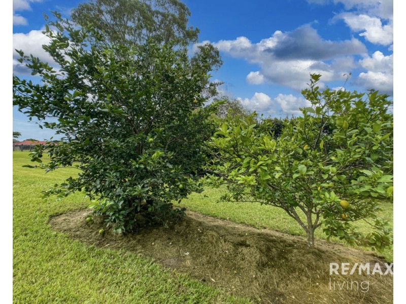 29 Heaton Court, Delaneys Creek QLD 4514