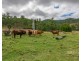 464 Muddy Creek Road, Linville QLD 4306