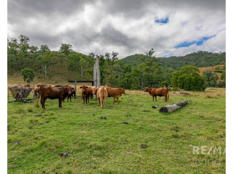 464 Muddy Creek Road, Linville QLD 4306