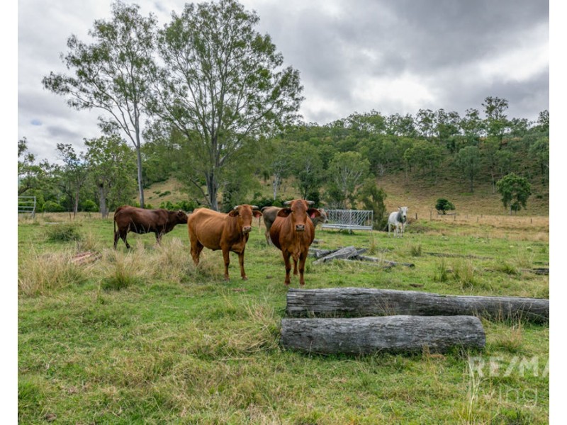 464 Muddy Creek Road, Linville QLD 4306