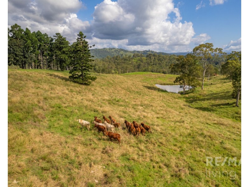 500 Newman Lane, Delaneys Creek QLD 4514