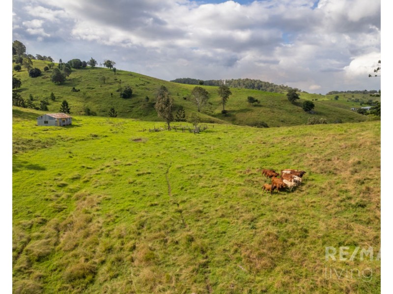 500 Newman Lane, Delaneys Creek QLD 4514