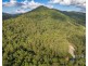 299 Fletcher Road, Stony Creek QLD 4514
