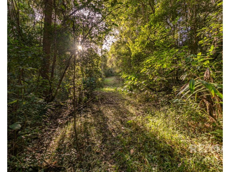 299 Fletcher Road, Stony Creek QLD 4514