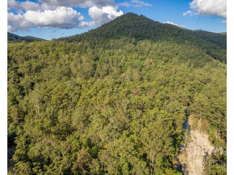 299 Fletcher Road, Stony Creek QLD 4514
