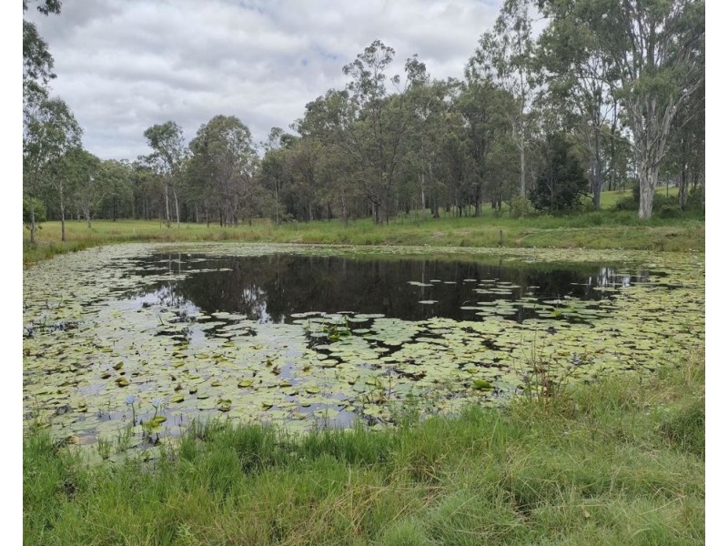 41 Morrison Road, Neurum QLD 4514