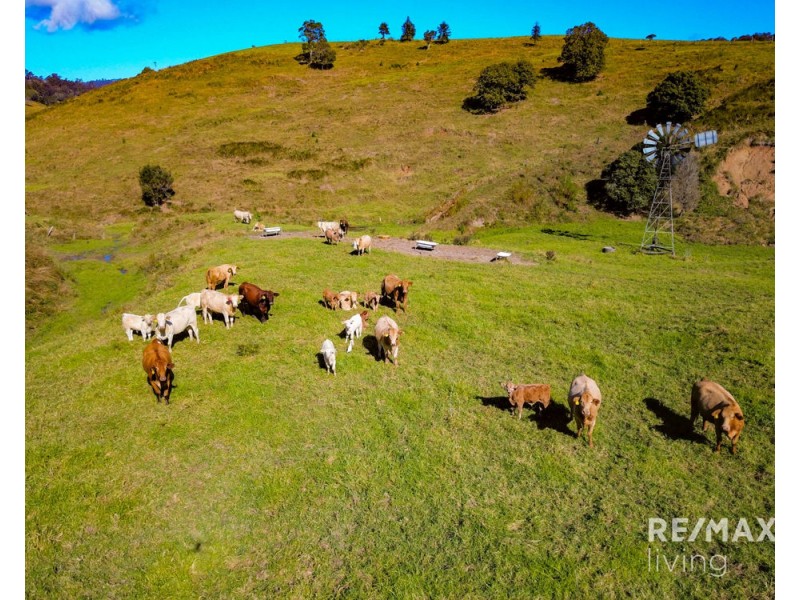 Lot 1 & 5 450 Newman Lane, Delaneys Creek QLD 4514