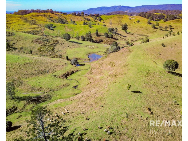 Lot 1 & 5 450 Newman Lane, Delaneys Creek QLD 4514