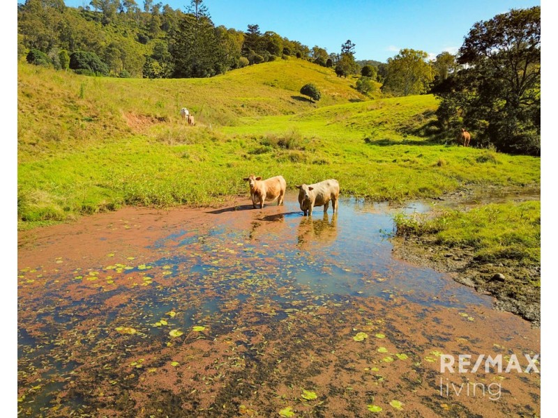 Lot 1 & 5 450 Newman Lane, Delaneys Creek QLD 4514