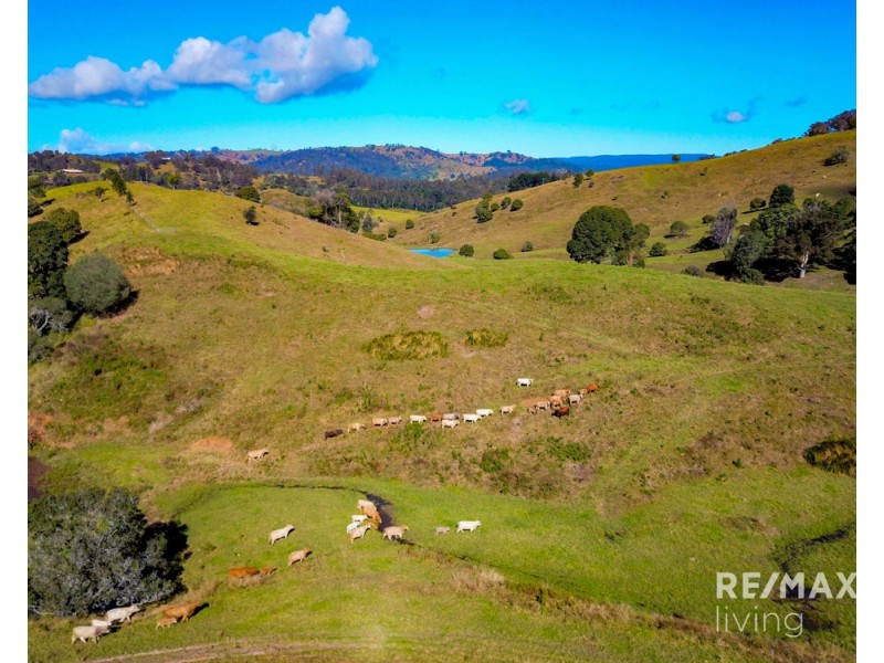 Lot 1 & 5 450 Newman Lane, Delaneys Creek QLD 4514