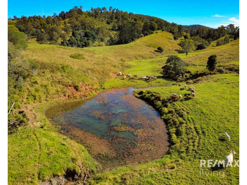 Lot 1 & 5 450 Newman Lane, Delaneys Creek QLD 4514
