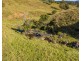 Lot 1 & 5 450 Newman Lane, Delaneys Creek QLD 4514