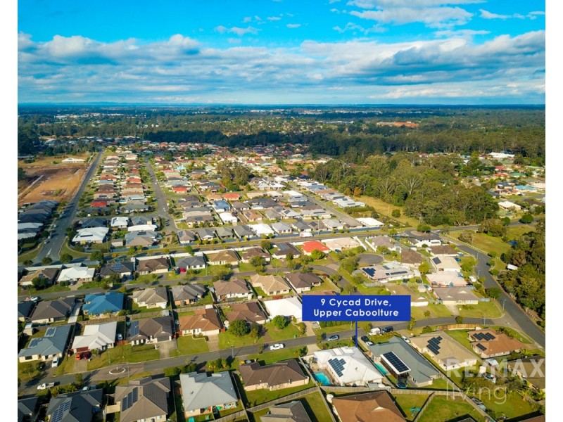 9 Cycad Drive, Upper Caboolture QLD 4510
