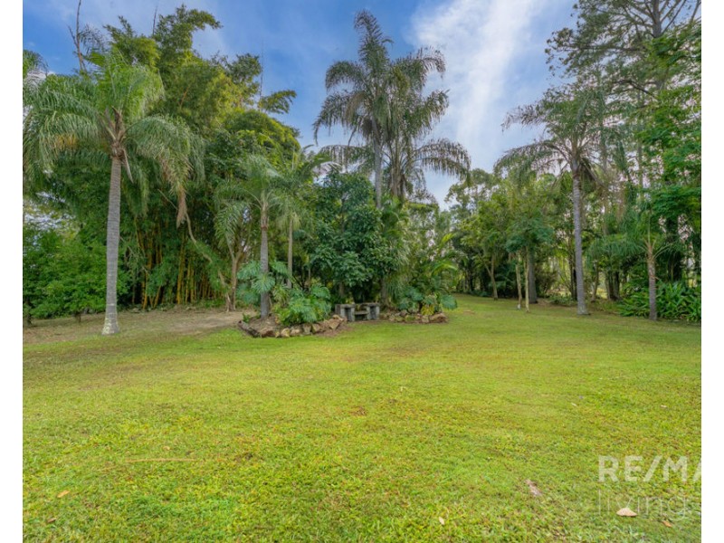 56 Homestead Road, Morayfield QLD 4506