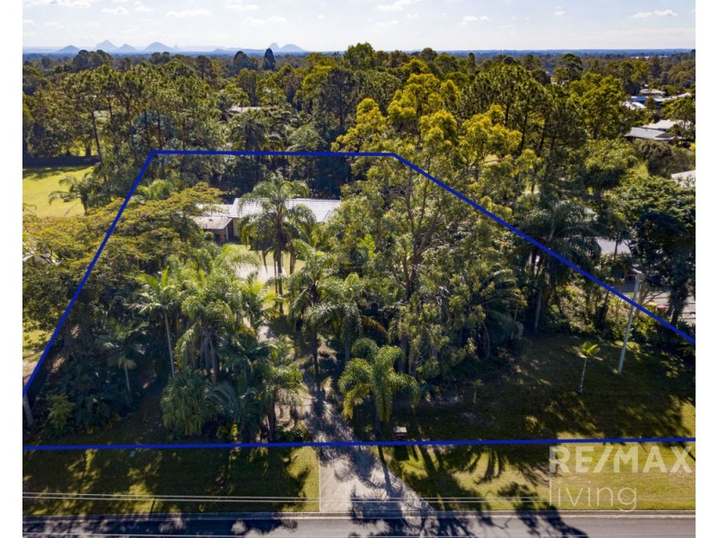 56 Homestead Road, Morayfield QLD 4506
