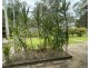 59 Verdoni Street, Bellara QLD 4507
