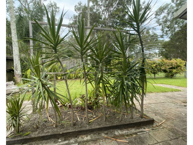 59 Verdoni Street, Bellara QLD 4507