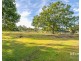 33 Homestead Road, Morayfield QLD 4506