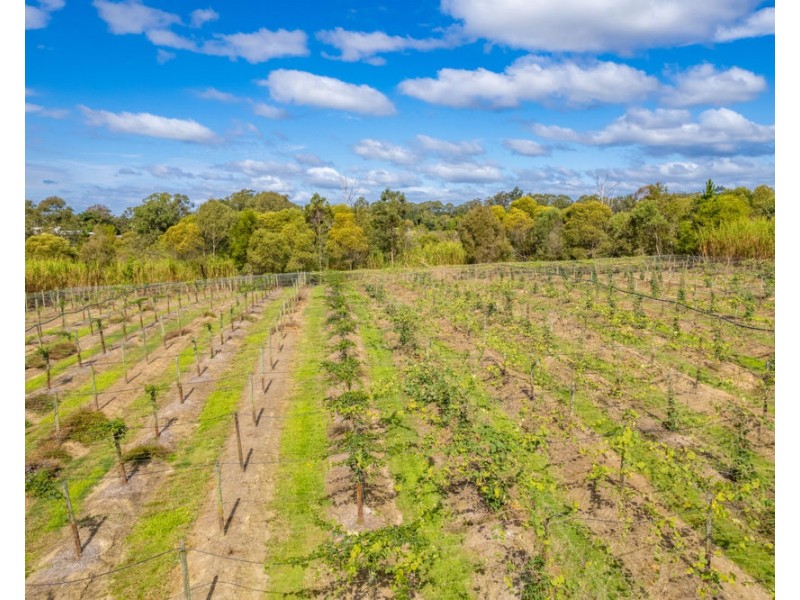 1 McConnell Road, Wamuran QLD 4512