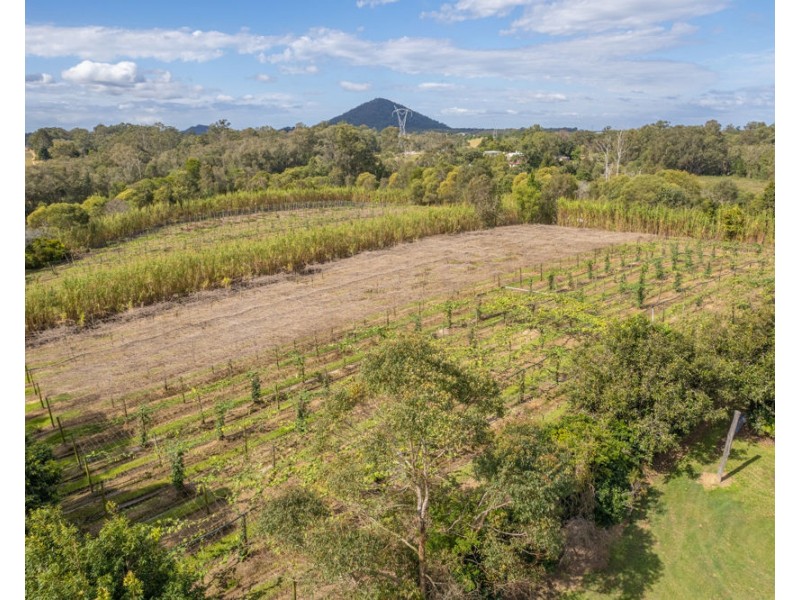 1 McConnell Road, Wamuran QLD 4512