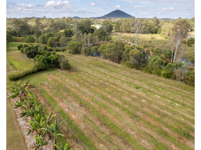 1 McConnell Road, Wamuran QLD 4512