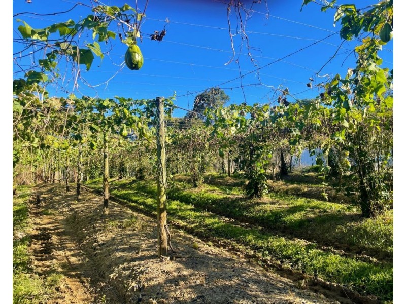 1 McConnell Road, Wamuran QLD 4512