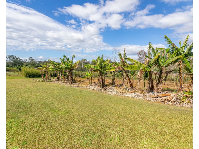 1 McConnell Road, Wamuran QLD 4512