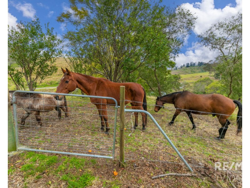 507-515 Newman Lane, Delaneys Creek QLD 4514