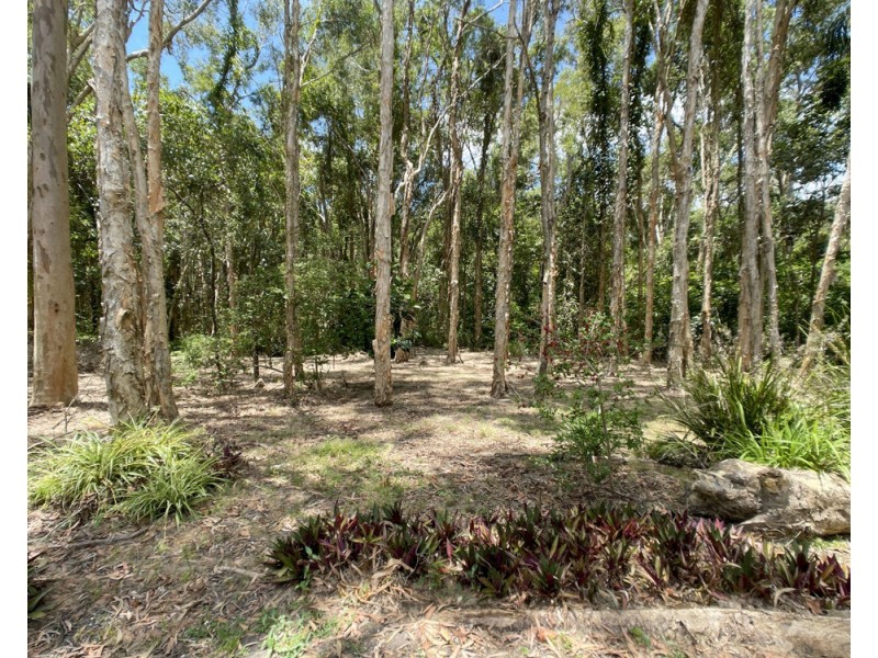 45 Currimundi Court, Burpengary QLD 4505